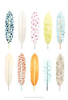 Feather Patterns II Fine Art Print