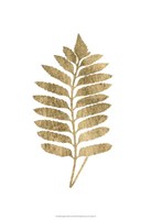 Graphic Gold Fern III Fine Art Print