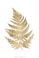 Graphic Gold Fern IV Fine Art Print