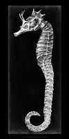 Seahorse Blueprint I Fine Art Print