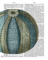 Blue Corals and Sea Urchins I Fine Art Print