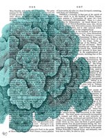 Blue Corals and Sea Urchins II Fine Art Print