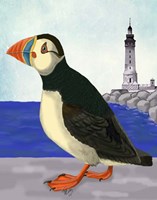 Puffin On the Quay Fine Art Print