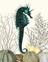 SeaHorse and Sea Urchins Fine Art Print