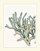 Blue Underwater Scenes 2 b Fine Art Print