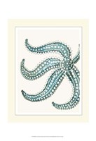 Blue Underwater Scenes 2 d Fine Art Print