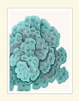 Blue Underwater Scenes 1 b Fine Art Print