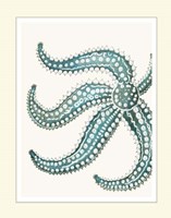 Blue Underwater Scenes 1 e Fine Art Print