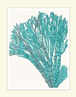 Blue Underwater Scenes 1 f Fine Art Print