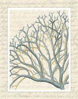 Blue Corals On VIntage Script b Fine Art Print