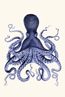 Blue Octopus 3 Fine Art Print