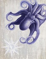 Octopus 7 Fine Art Print
