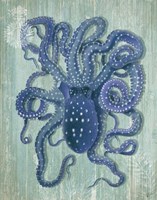 Coastal Life Collection 1 a Fine Art Print