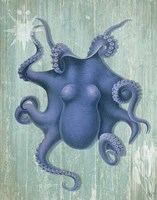 Coastal Life Collection 1 b Fine Art Print