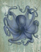 Coastal Life Collection 1 c Fine Art Print