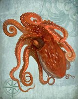 Coastal Life Collection 2 a Fine Art Print