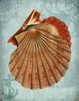 Coastal Life Collection 2 c Fine Art Print