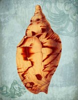 Coastal Life Collection 2 d Fine Art Print