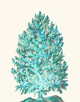 Coral Tree Turquoise on Cream Fine Art Print