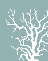Corals White on Mist Blue Green a Fine Art Print
