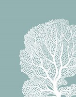 Corals White on Mist Blue Green b Fine Art Print