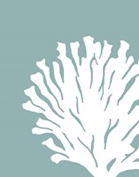 Corals White on Mist Blue Green d Fine Art Print