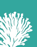 Turquoise Coral Prints a Fine Art Print