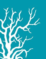 Turquoise Coral Prints b Fine Art Print