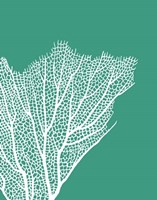 Turquoise Coral Prints c Fine Art Print