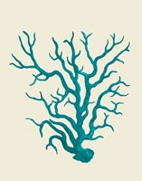 Corals Turquoise On Cream a Fine Art Print