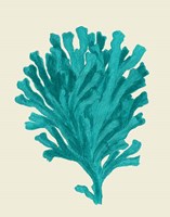 Corals Turquoise On Cream d Fine Art Print