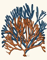 Blue and Orange Corals a Fine Art Print