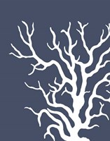 Corals White on Indigo Blue a Fine Art Print