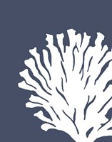 Corals White on Indigo Blue d Fine Art Print