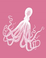 Octopus 1 White on Pink Fine Art Print
