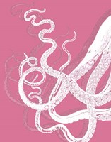 Octopus Tentacles White On Pink Fine Art Print
