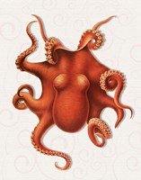 Octopus 4 Orange Fine Art Print