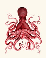 Red Octopus 3 Fine Art Print