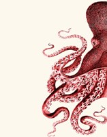 Octopus Red and White a Fine Art Print