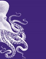 Octopus Purple and Cream b Fine Art Print