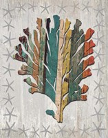Distressed Wood Style Coral 1 Fine Art Print