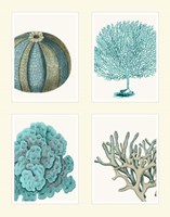Blue Corals and Sea Urchins in 4 Panels Fine Art Print