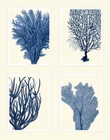 Blue Coral Print on 4 Panels Fine Art Print