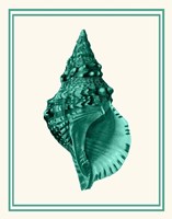 Mixed Nautical Green on Cream a Fine Art Print