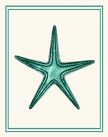 Mixed Nautical Green on Cream f Fine Art Print