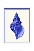 Mixed Nautical Blue on Cream a Fine Art Print