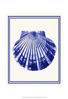 Mixed Nautical Blue on Cream d Fine Art Print