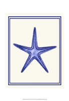 Mixed Nautical Blue on Cream f Fine Art Print