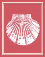 Mixed Nautical White on Coral e Fine Art Print