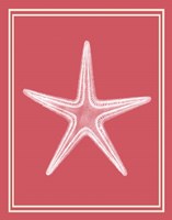 Mixed Nautical White on Coral f Fine Art Print